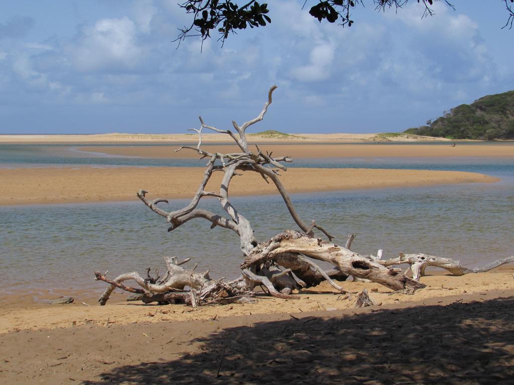 הוילה Manguzi Kosi Bay Casitas מראה חיצוני תמונה